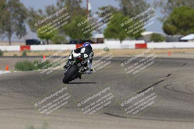 media/Sep-07-2025-Pacific Track Time (Sun) [[a6322260b9]]/A and B Group/Wheelie Bump A and B/